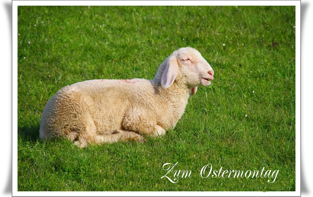 Ostergruß aus Norddeich