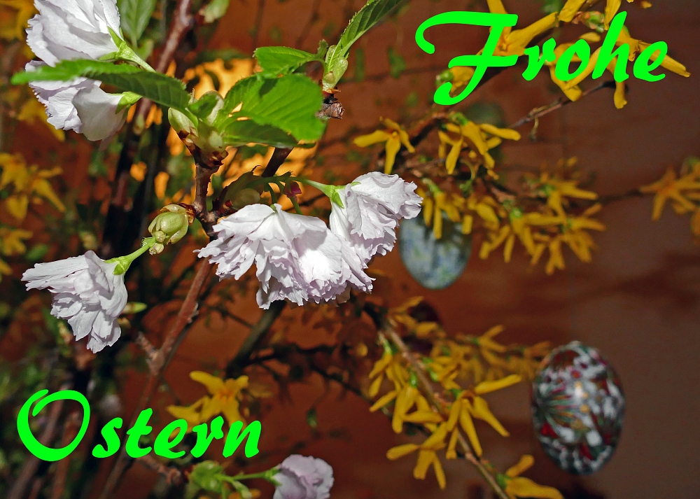 Ostergruß Foto & Bild | kunstfotografie & kultur, bräuche, ostern