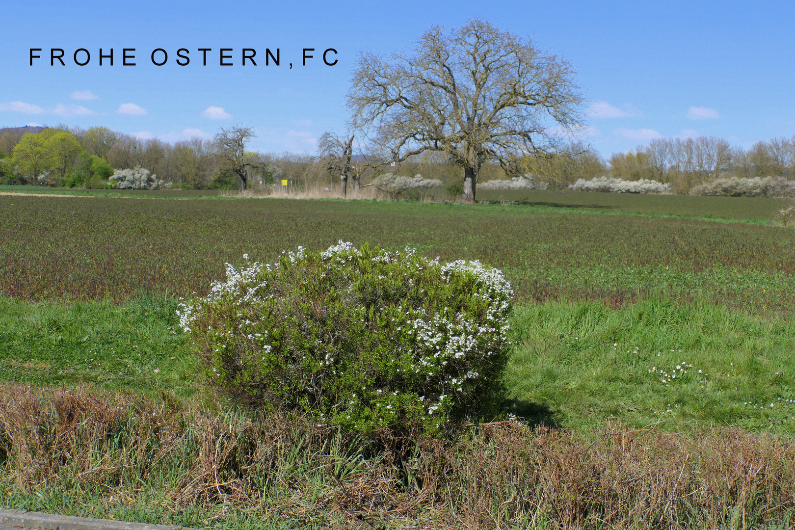 Ostergruß für die FC