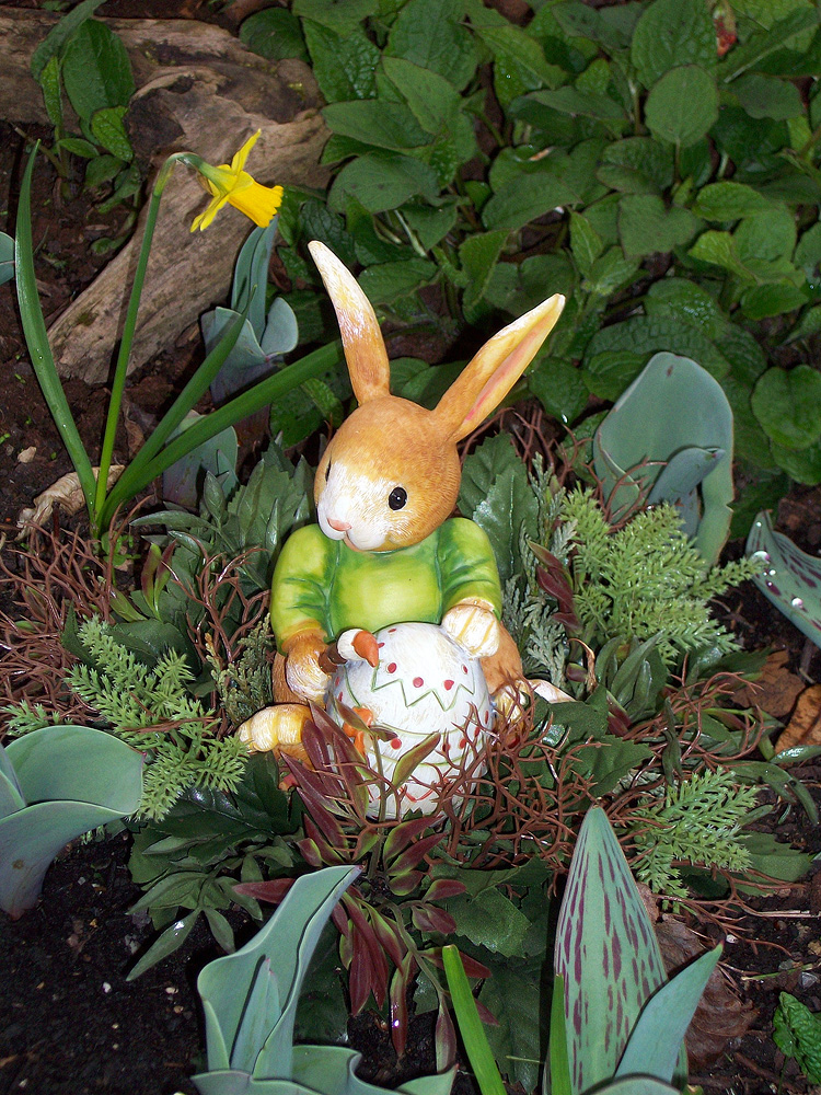 Osterhase 2014