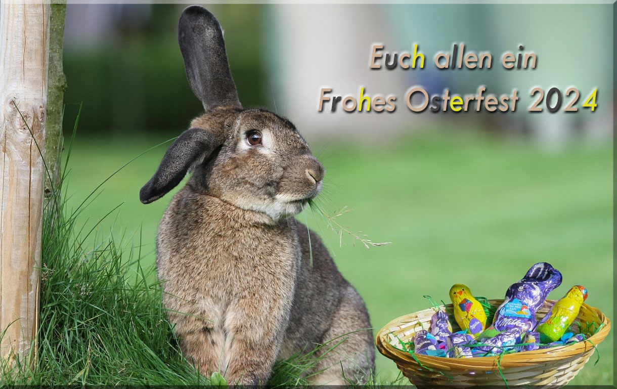 Osterhase 2024