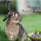 Osterhase 2024