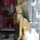 Osterhase