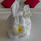 ...Osterhase aus Myanmar...