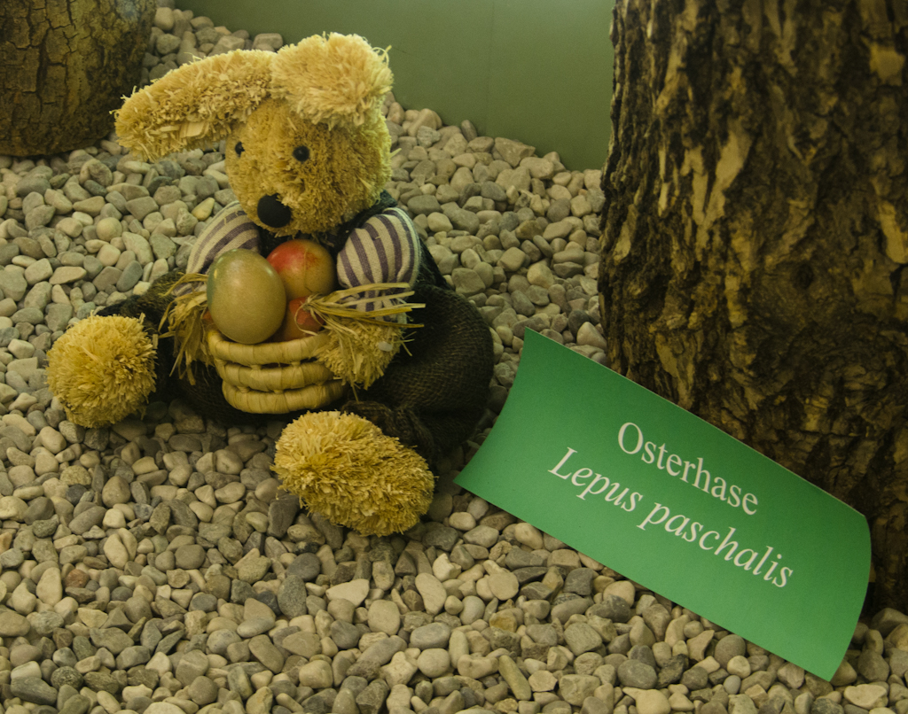 Osterhase