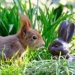 Osterhase gefunden