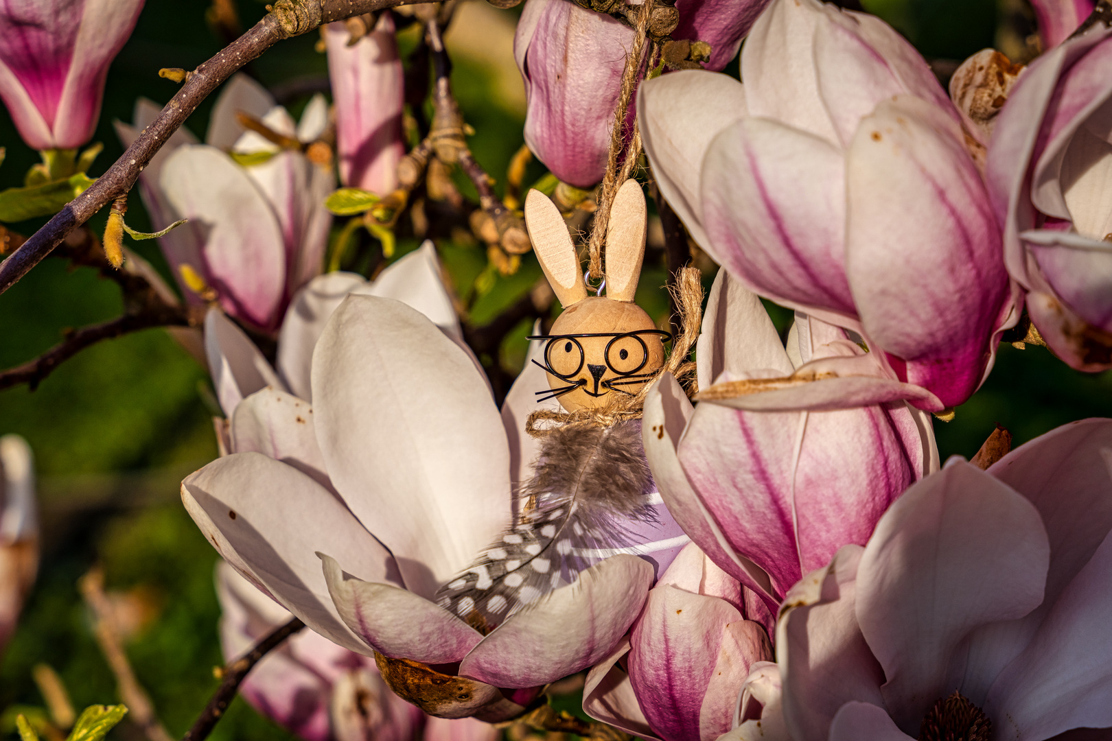 Osterhase im Magnolienbett