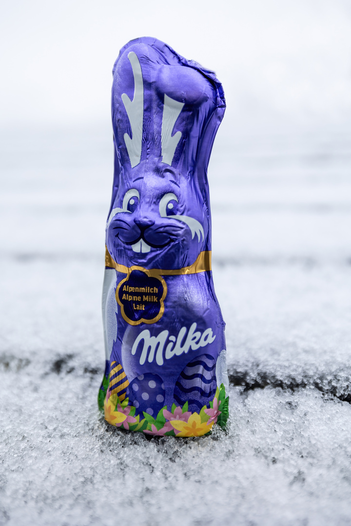 Osterhase im Schnee 