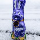 Osterhase im Schnee 