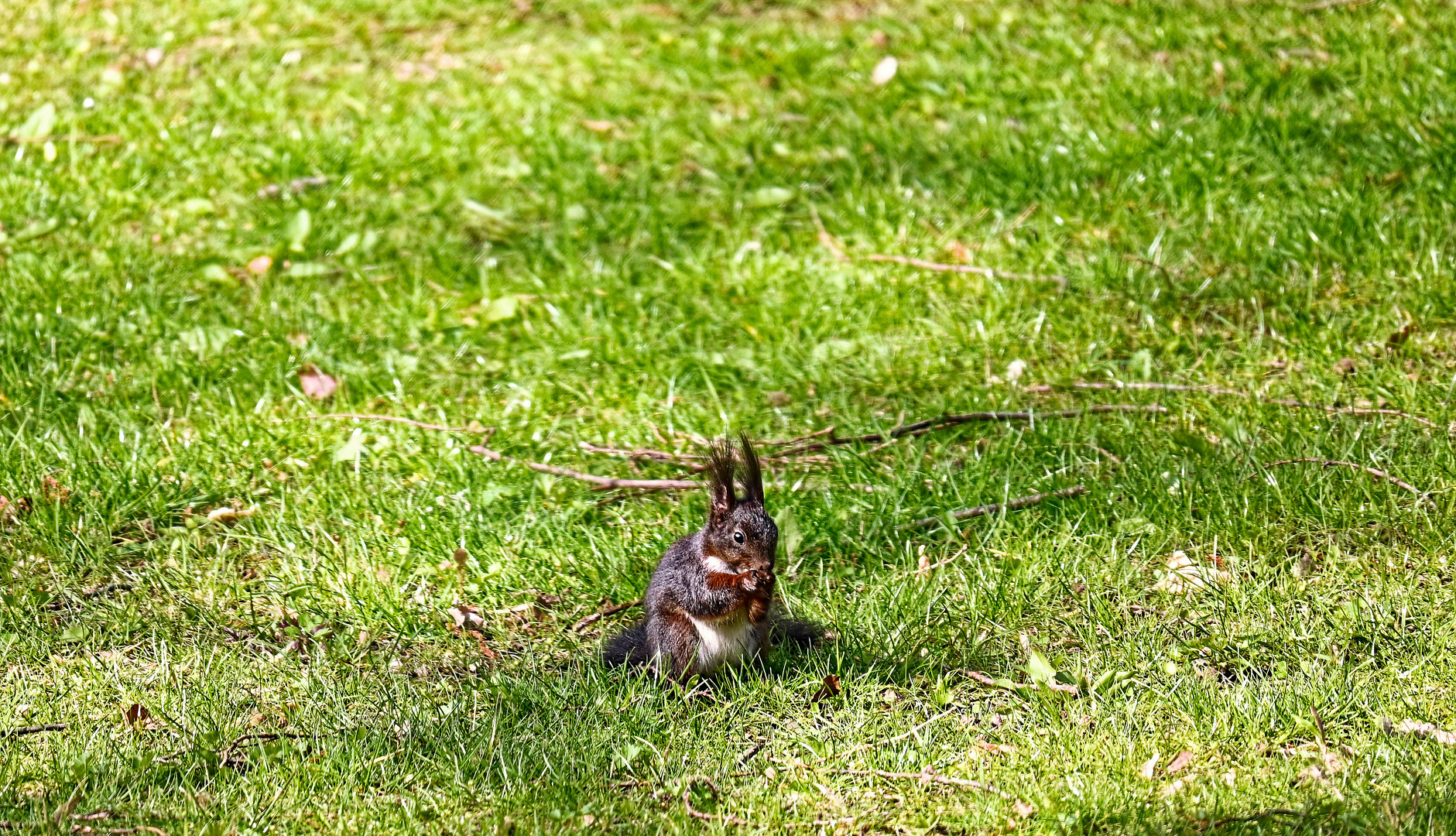 Osterhase war gestern...