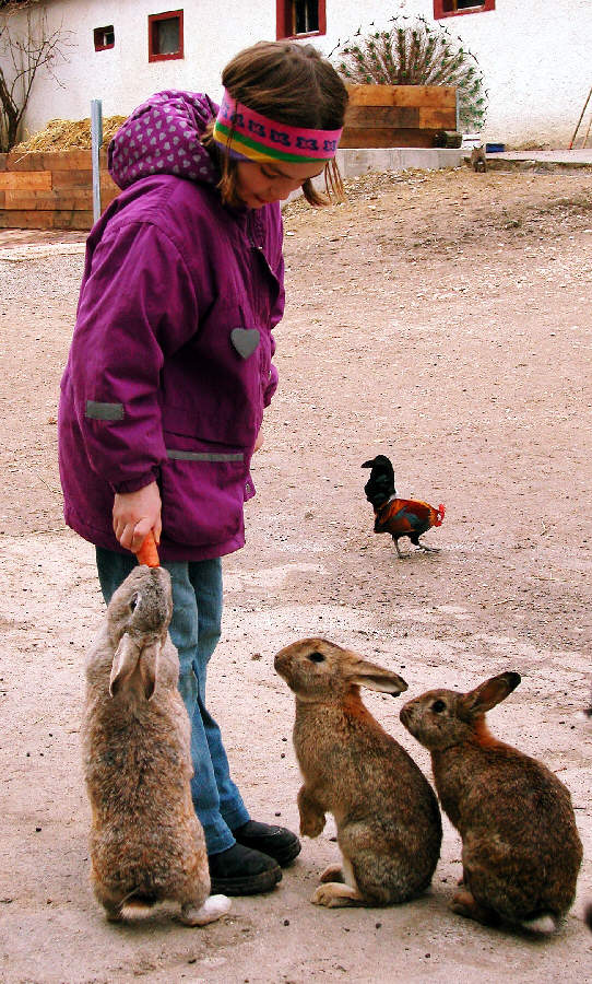 Osterhasen bitte hier anstellen!