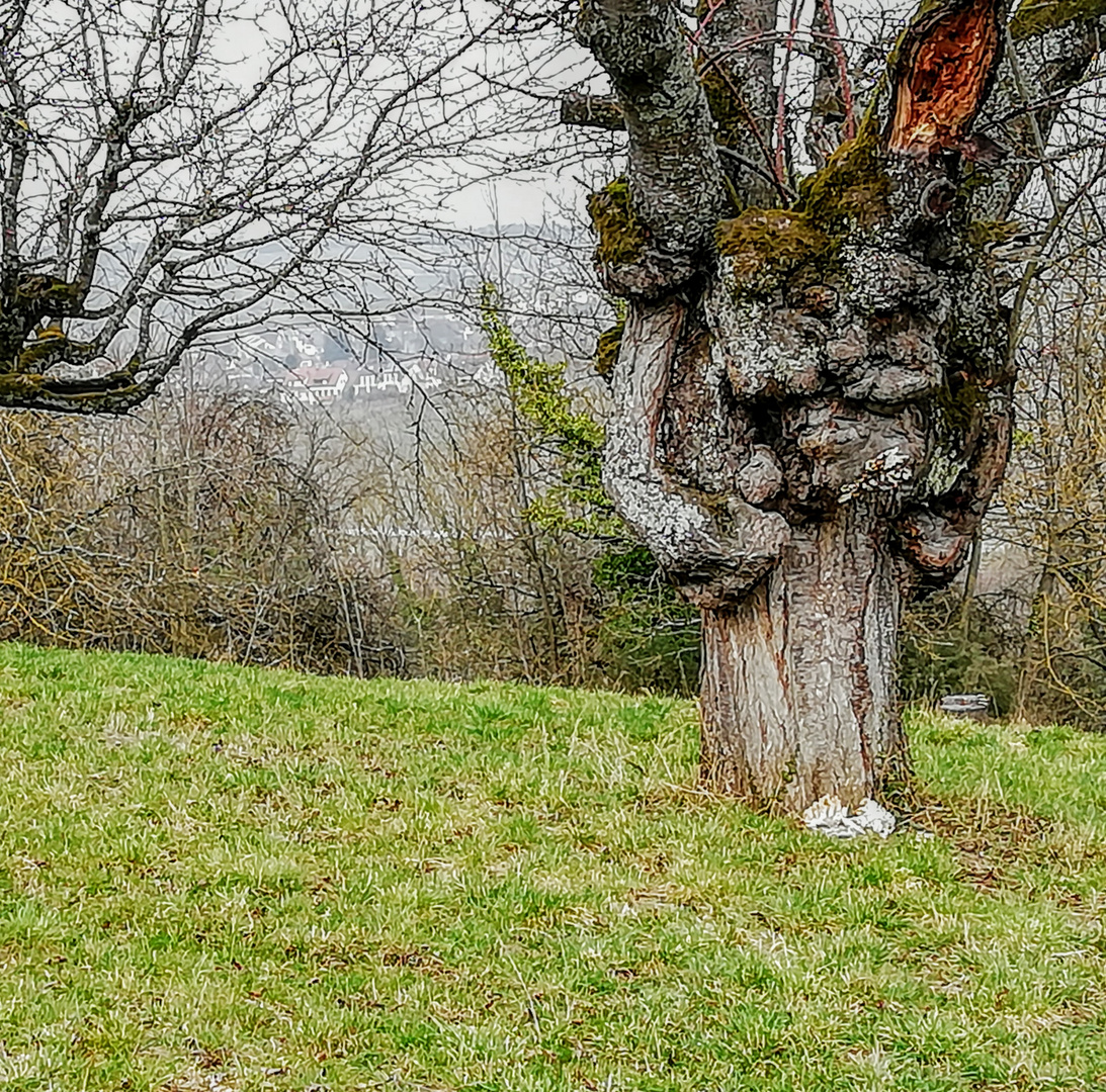 Osterhasen im Anmarsch