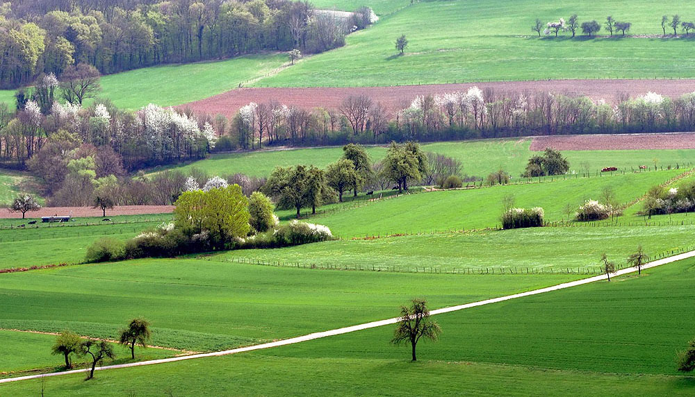 Osterhasensuchweg