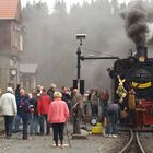 Osterhasenzug in Alexisbad