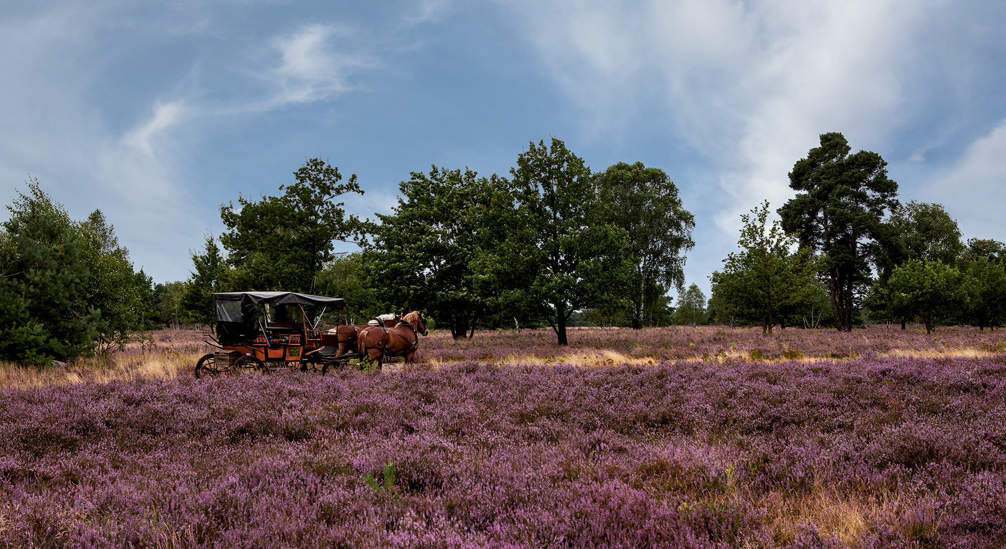 Osterheide 003 