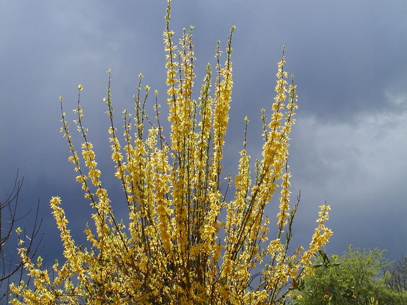 Osterhimmel