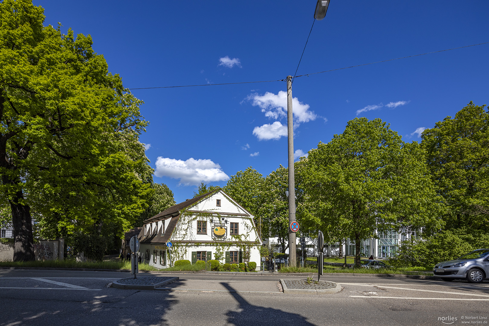 Osteria Albero Verde