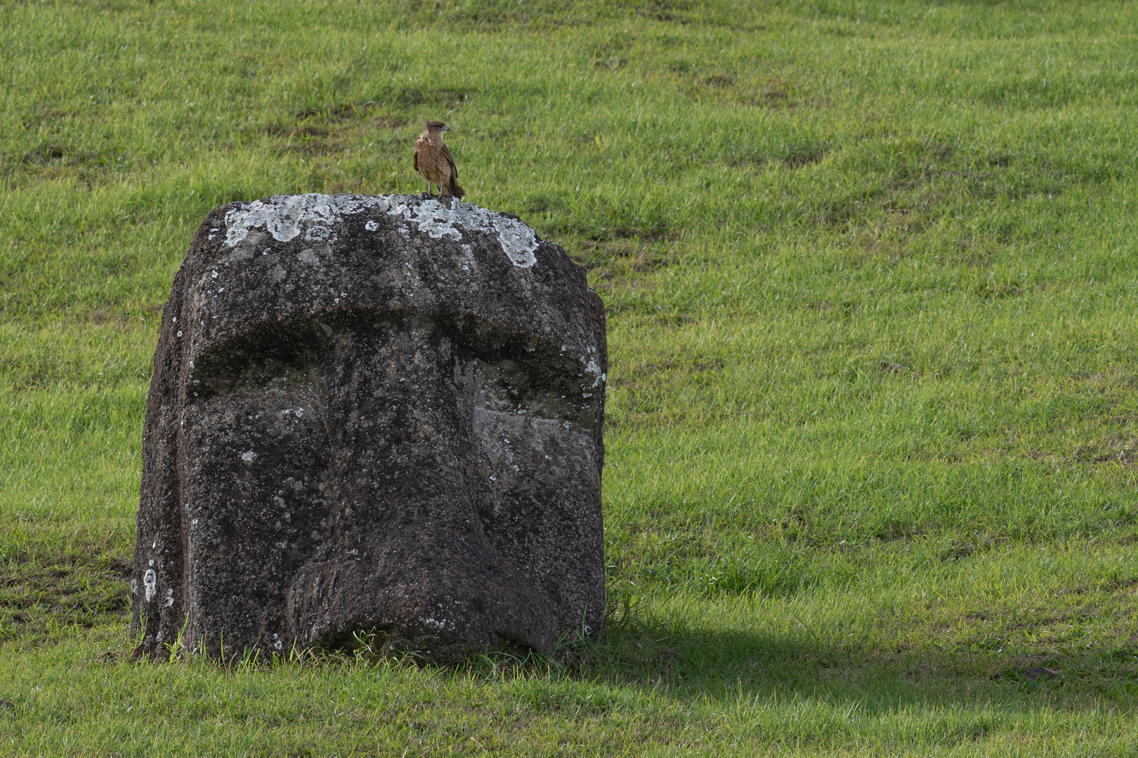 osterinsel impressionen #26