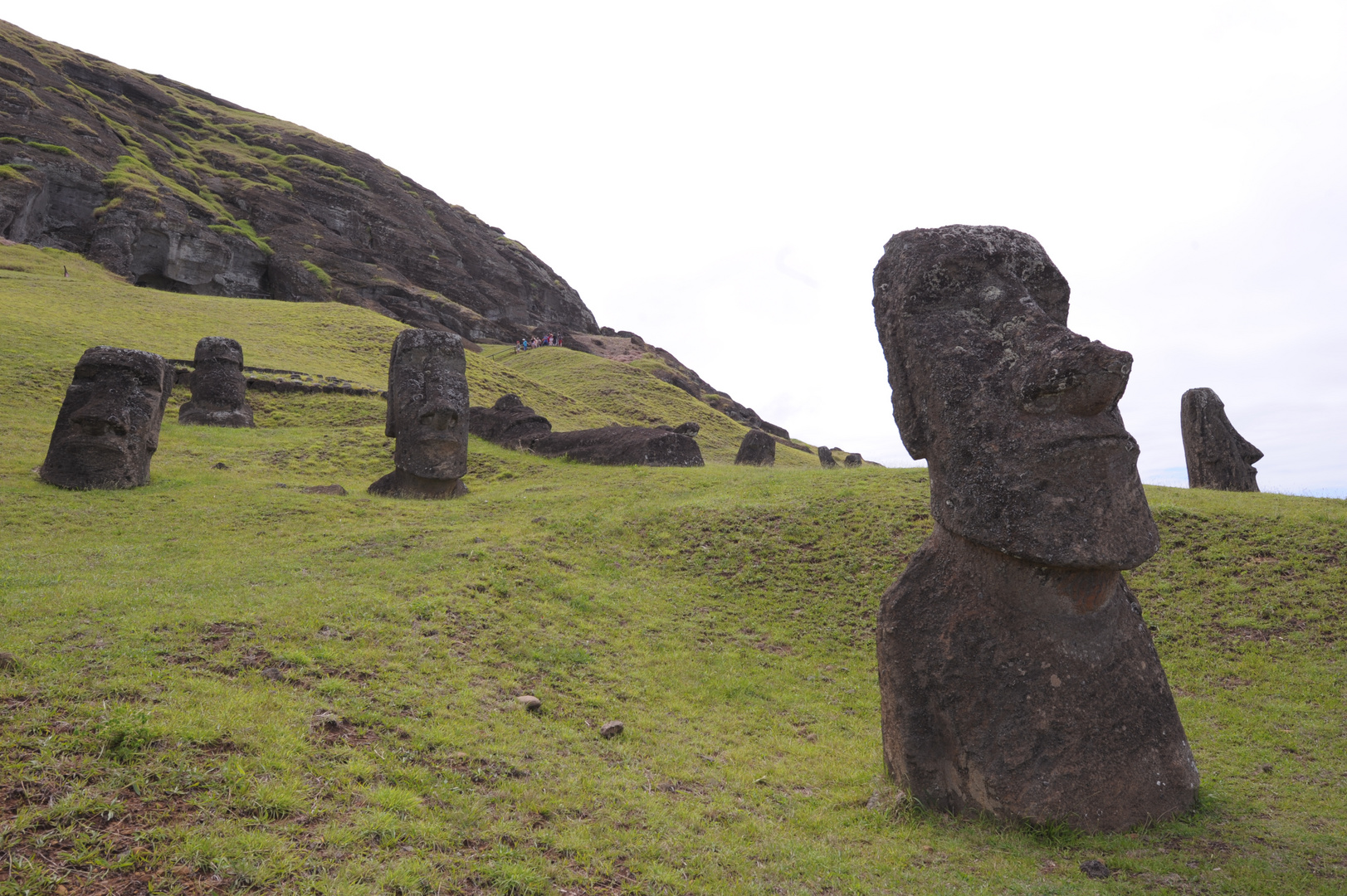 Osterinsel   Moai  Steinfiguren