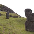 Osterinsel   Moai  Steinfiguren