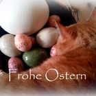 Osterkater