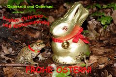 Osterkröti mit Osterhasi