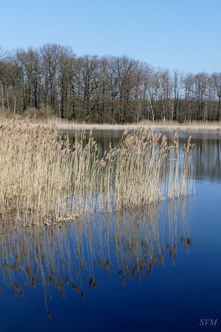 Ostermontag 2016 in der Oberlausitzer Heide- und Teichlandschaft