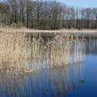 Ostermontag 2016 in der Oberlausitzer Heide- und Teichlandschaft