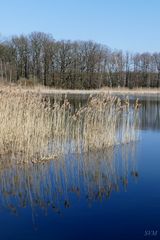 Ostermontag 2016 in der Oberlausitzer Heide- und Teichlandschaft