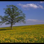 Ostermontag