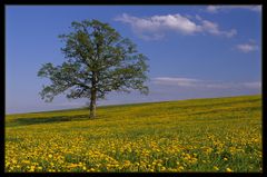 Ostermontag