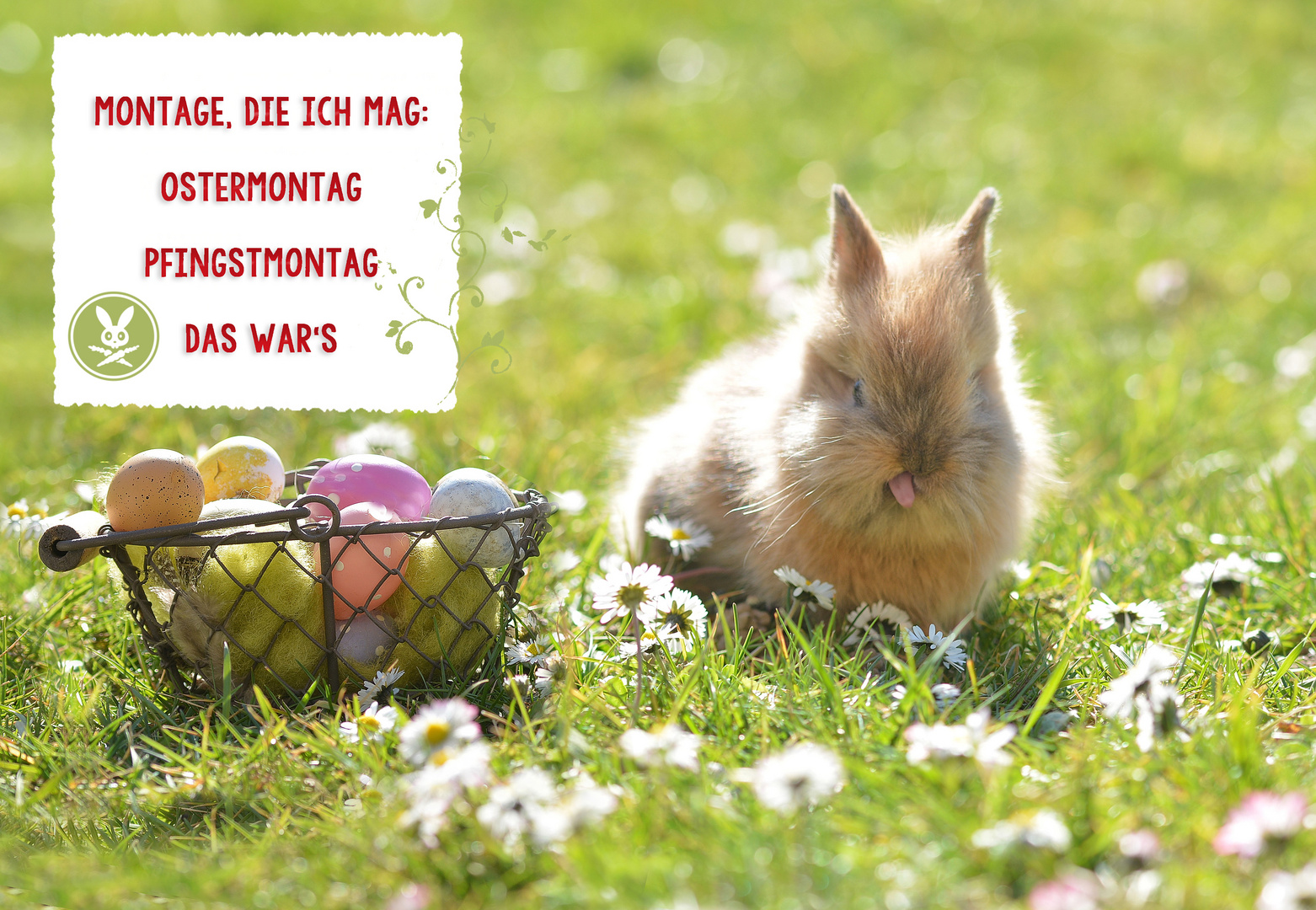 Ostermontag Foto & Bild | karte, spruch, montag Bilder auf ...
