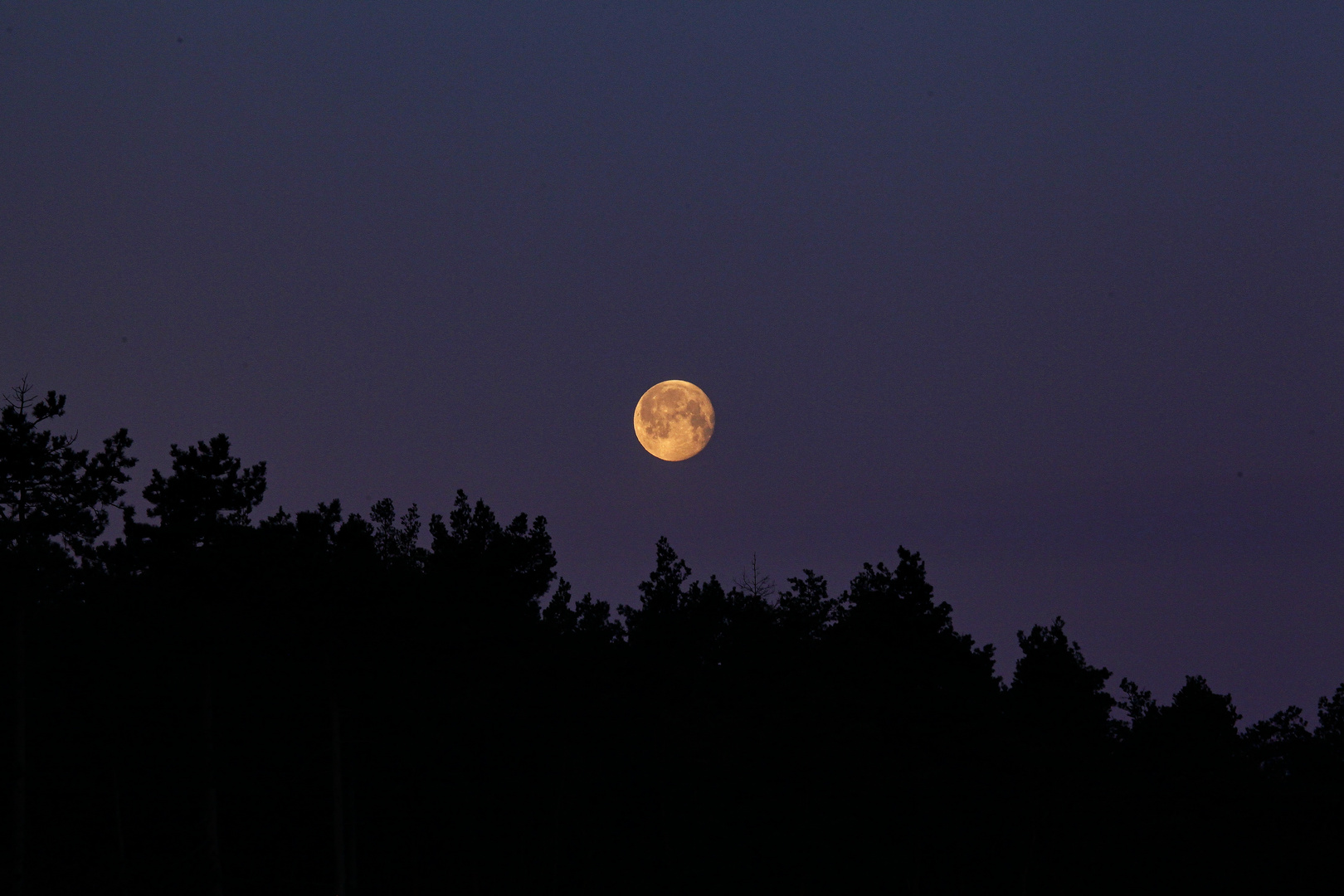 Ostermontag - der Mond geht unter.