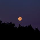 Ostermontag - der Mond geht unter.