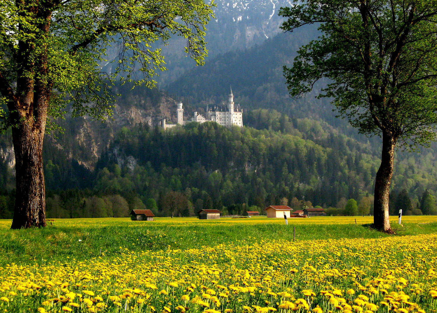 Ostermontag im Allgäu - Schloß Neuschwanstein