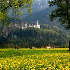 Ostermontag im Allgäu - Schloß Neuschwanstein