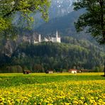 Ostermontag im Allgäu - Schloß Neuschwanstein