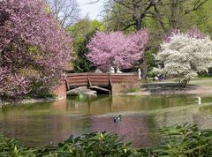 Ostermontag im Stadtpark