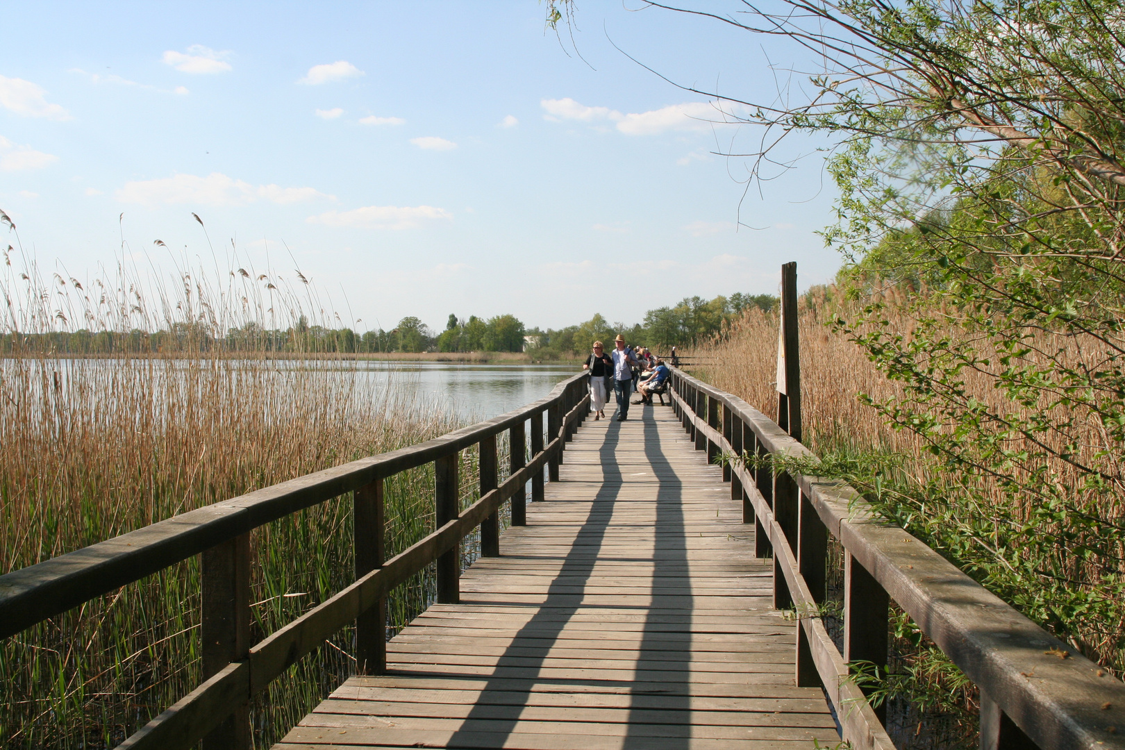 Ostermontag im vorigen Jahr bei herrlichem Sonnenschein am Glauer See bei Potsdam