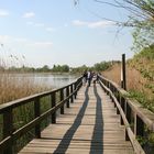 Ostermontag im vorigen Jahr bei herrlichem Sonnenschein am Glauer See bei Potsdam