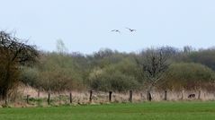 Ostermontag in den Rieselfeldern