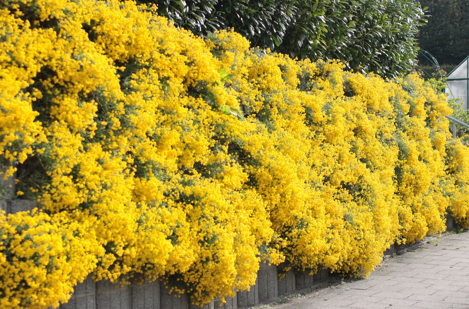 ostermontag in tecklenburg