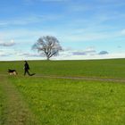 Ostermontag / Lunes de Pascua / Lundi de Pâques...04