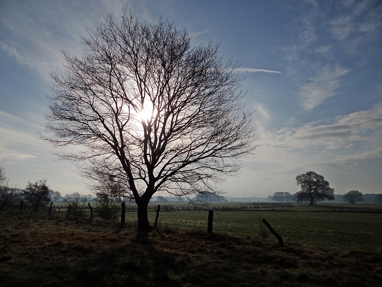 Ostermontagmorgen