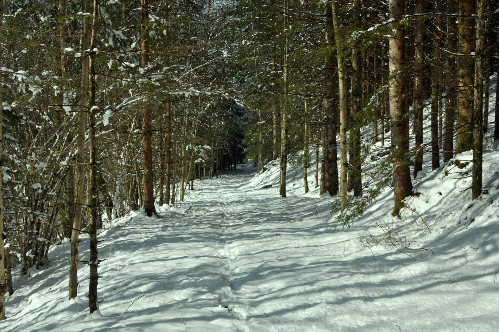 Ostermontagsspaziergang 2012