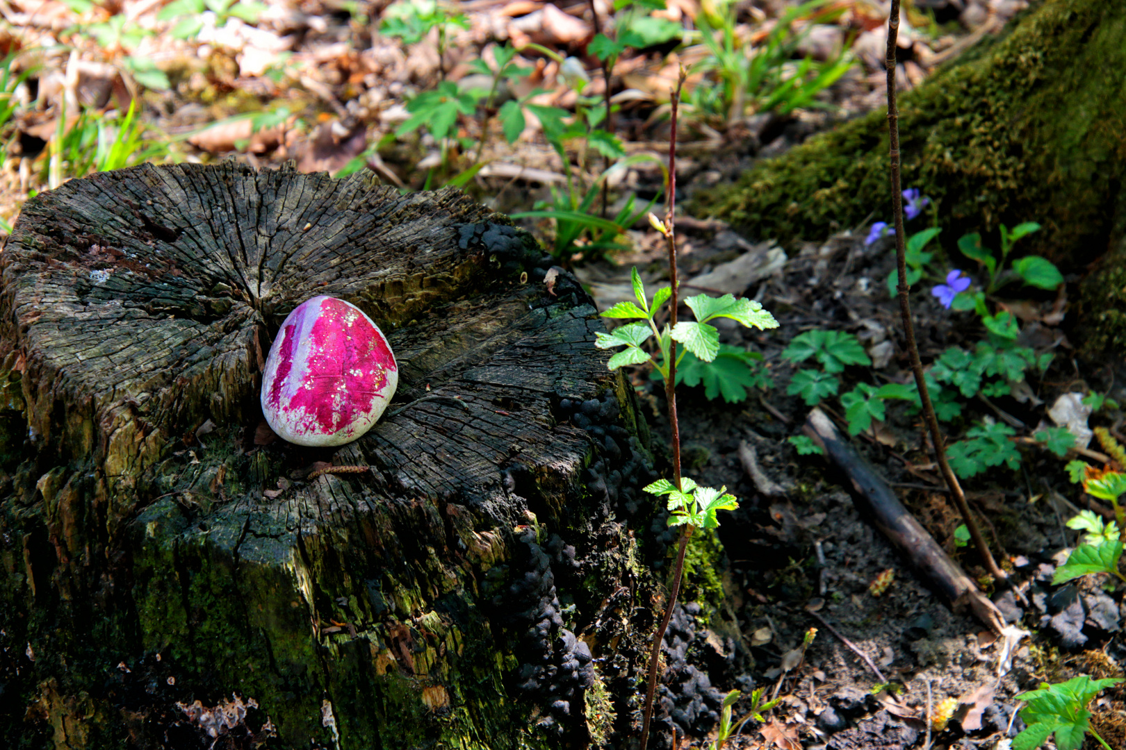 Ostermontagsspaziergang