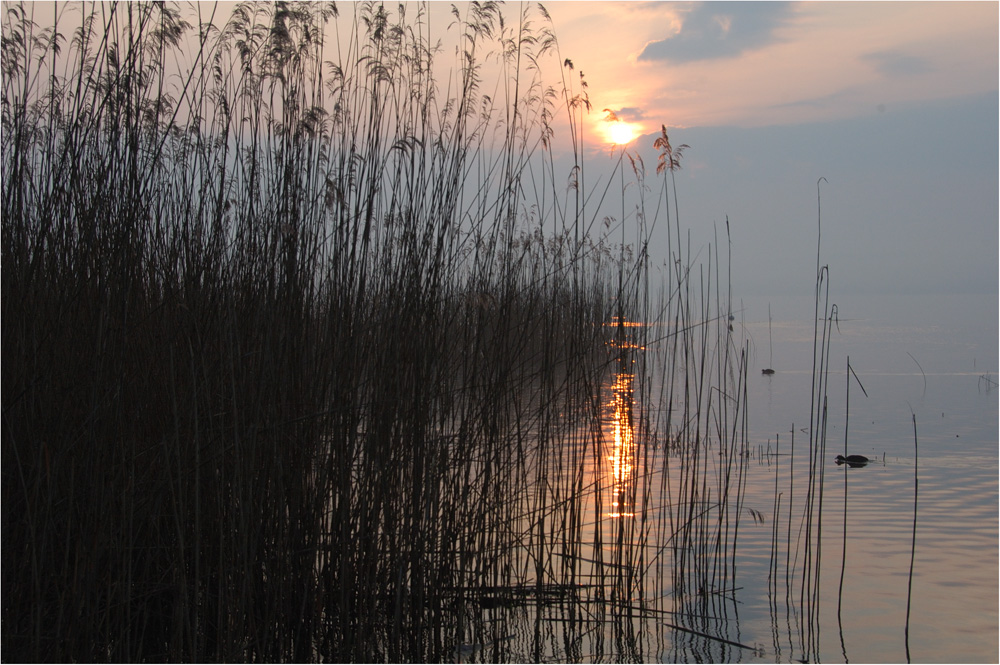 Ostermorgen am See