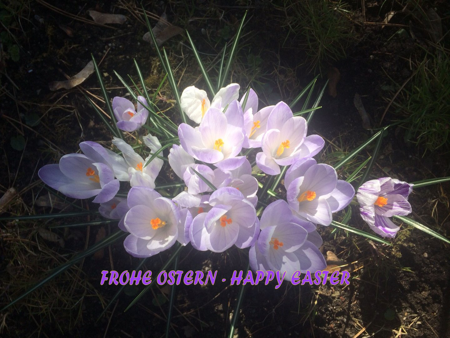 OSTERN 