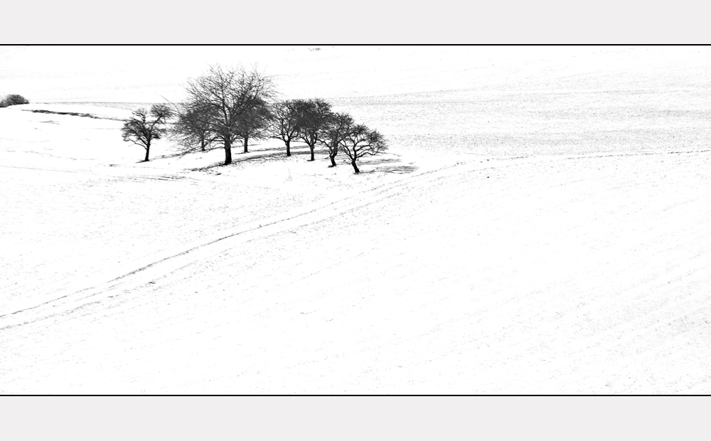 Ostern 2008 ganz in weiß