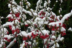 Ostern 2008 im Schnee - 2